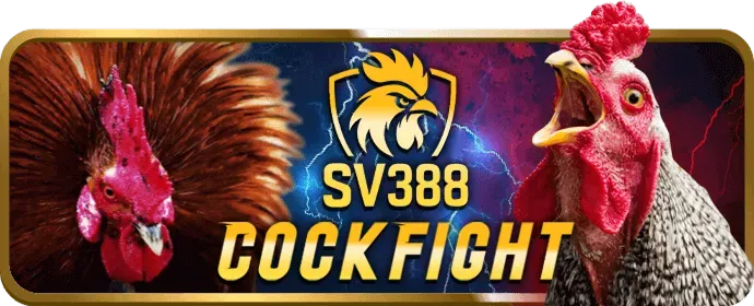 Đá Gà Trực Tuyến uiwnbet